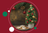 XMAS in July